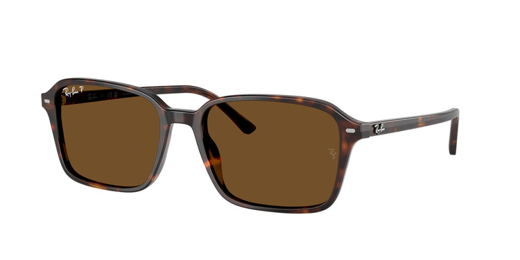902/57 - Havana / Brown Polarized