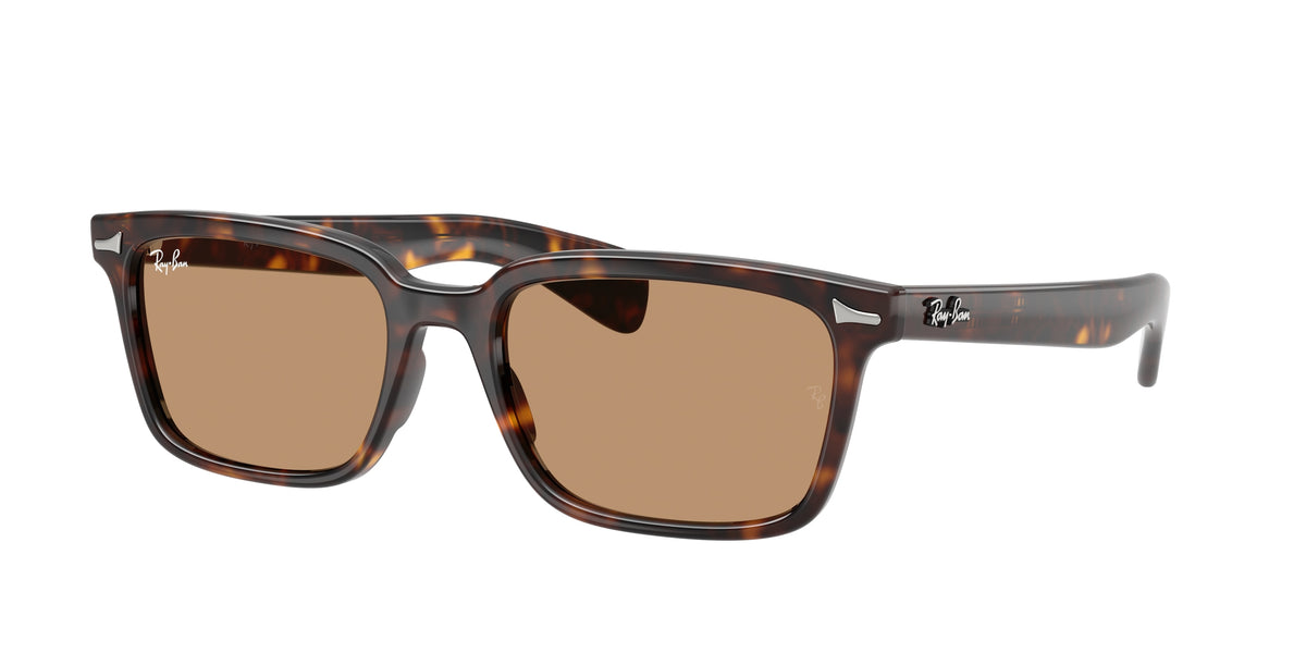 902/53 - Havana / Brown