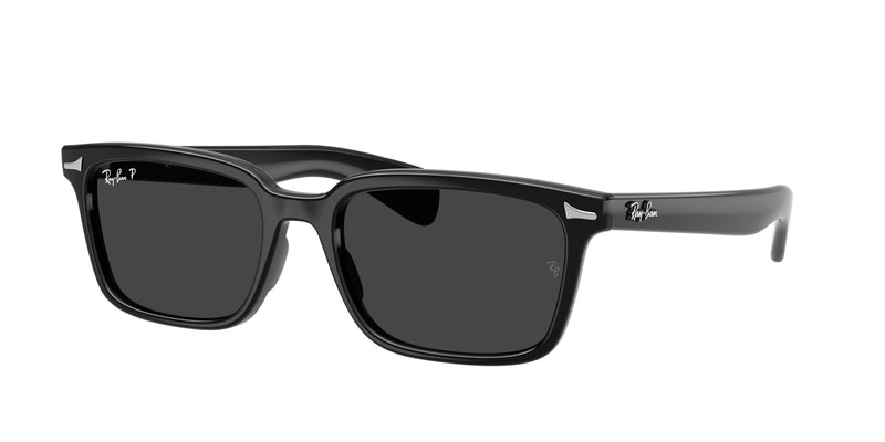 901/48 - Black / Polarized Black