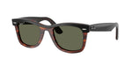 144058 - Black On Havana / Polarized Green