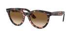 133451 - Pink Havana / Clear & Brown