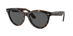 902/B1 - Havana / Dark Grey