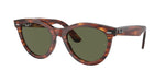 954/58 - Striped Havana / Green