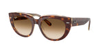141451 - Light Havana On Transparent Multicolor / Clear Gradient Brown