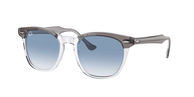 Ray-Ban 0RB2298F HAWKEYE