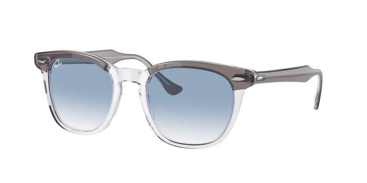 Ray-Ban 0RB2298 HAWKEYE