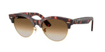 143251 - Pink Tortoise On Gold / Clear Gradient Brown