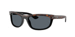 1441R5 - Havana On Black / Blue