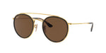 001/57 - Arista Gold / Brown Polarized