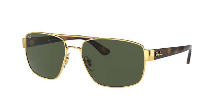 Ray-Ban 0RB3663