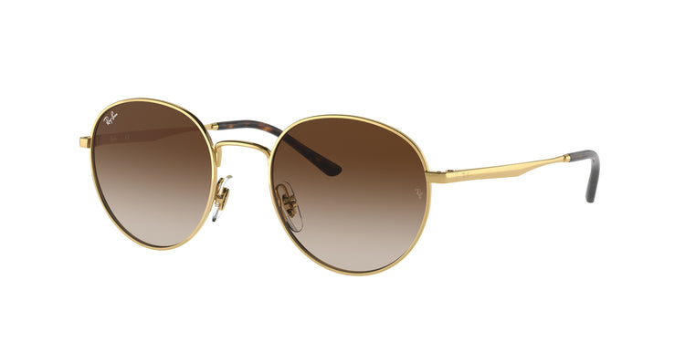 Ray-Ban 0RB3681