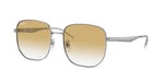 003/2Q - Silver / Yellow