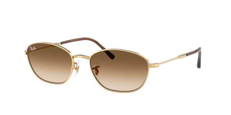 Ray-Ban 0RB3749
