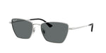 003/81 - Silver / Dark Grey Polarized