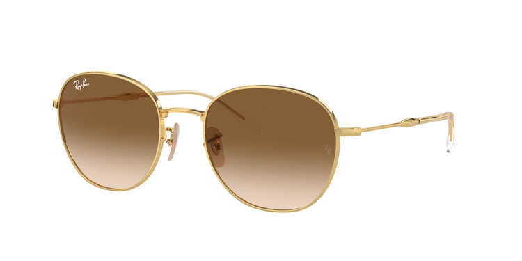 Ray-Ban 0RB3809