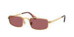 001/AF - Arista Gold / Purple Polarized