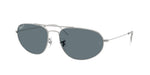 003/3R - Silver / Dark Blue Polarized