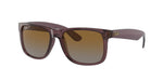 6597T5 - Transparent Dark Brown / Brown