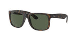 865/9A - Havana / Dark Green