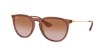 659013 - Transparent Light Brown / Gradient Brown