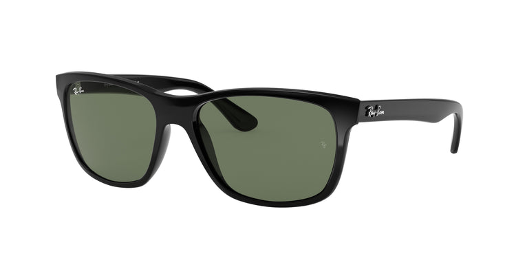 Ray-Ban 0RB4181 RB4181