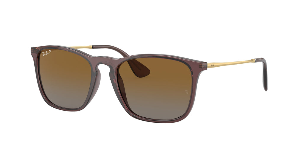 6593T5 - Transparent Brown / Brown Polarized