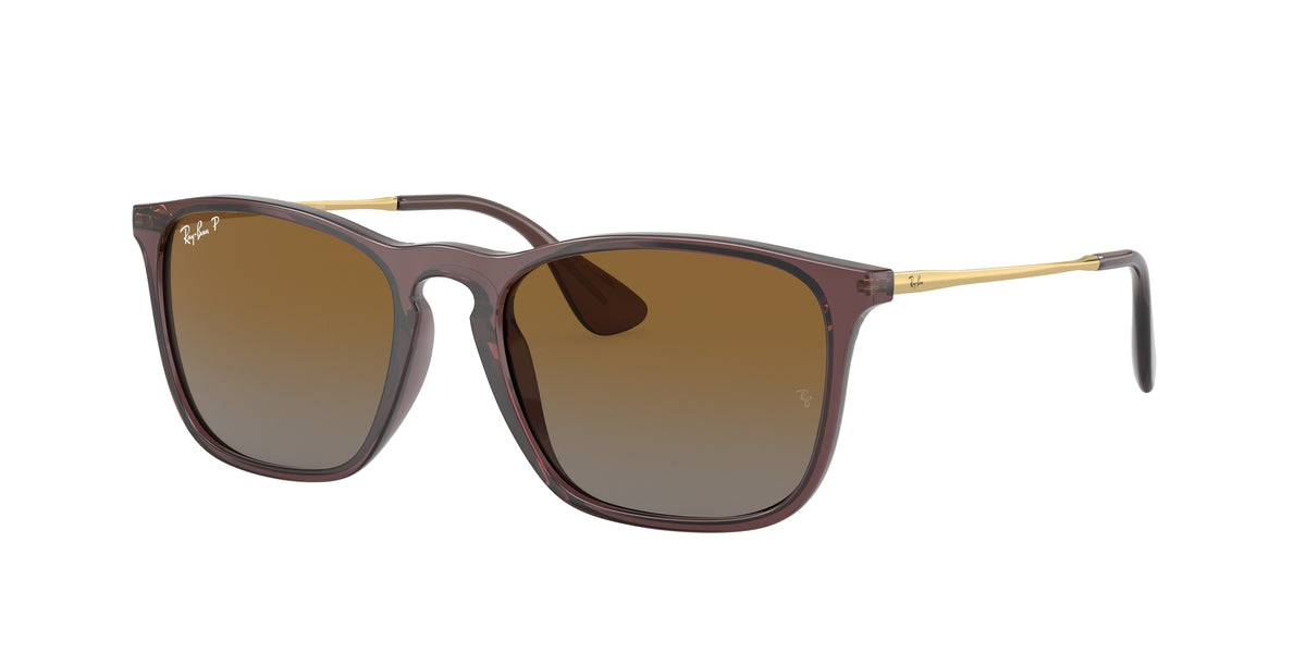 6593T5 - Transparent Brown / Brown Polarized