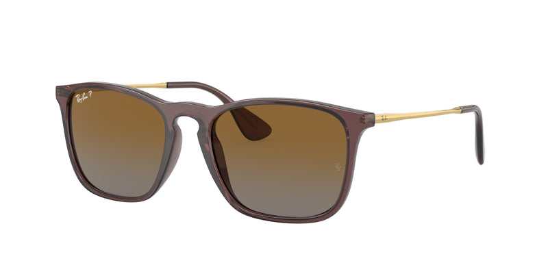 6593T5 - Transparent Brown / Brown Polarized