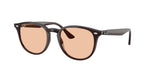 623193 - Transparent Brown / Brown