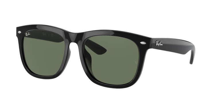Ray-Ban 0RB4260D