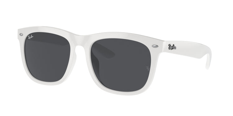 Ray-Ban 0RB4260D