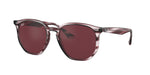 643175 - Striped Bordeaux Havana / Dark Violet
