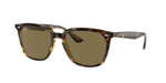 710/73 - Havana / Dark Brown