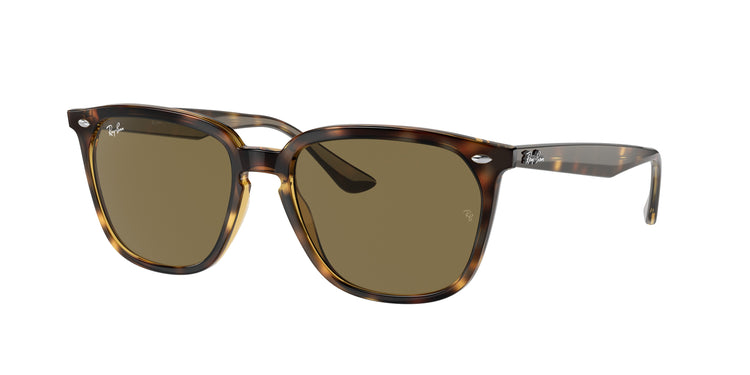 710/73 - Havana / Dark Brown