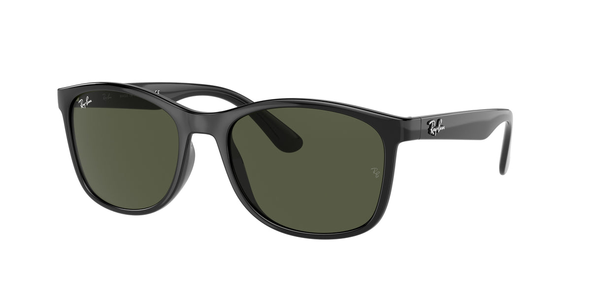 Ray-Ban 0RB4374