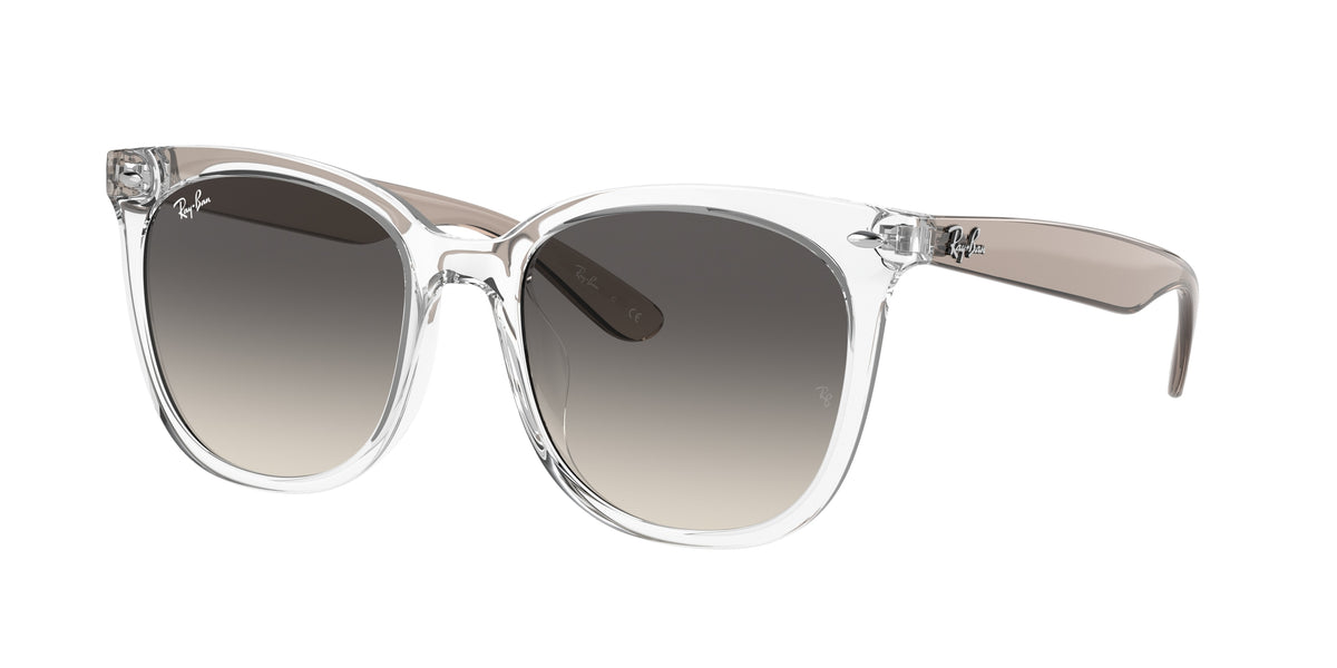 Ray-Ban 0RB4379D