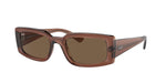 667873 - Transparent Brown / Dark Brown