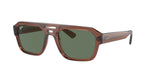 667882 - Transparent Brown / Dark Green