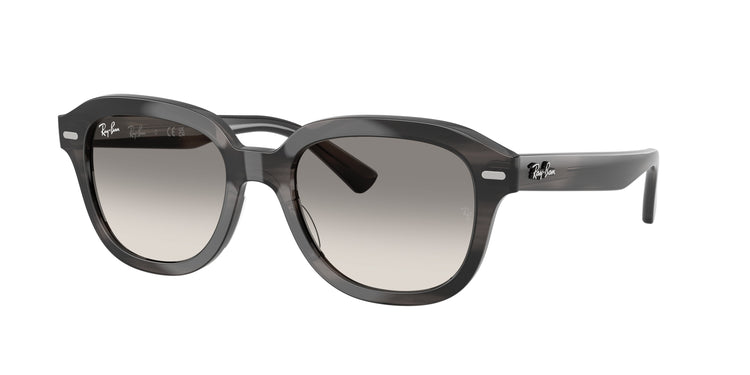 Ray-Ban 0RB4398F ERIK