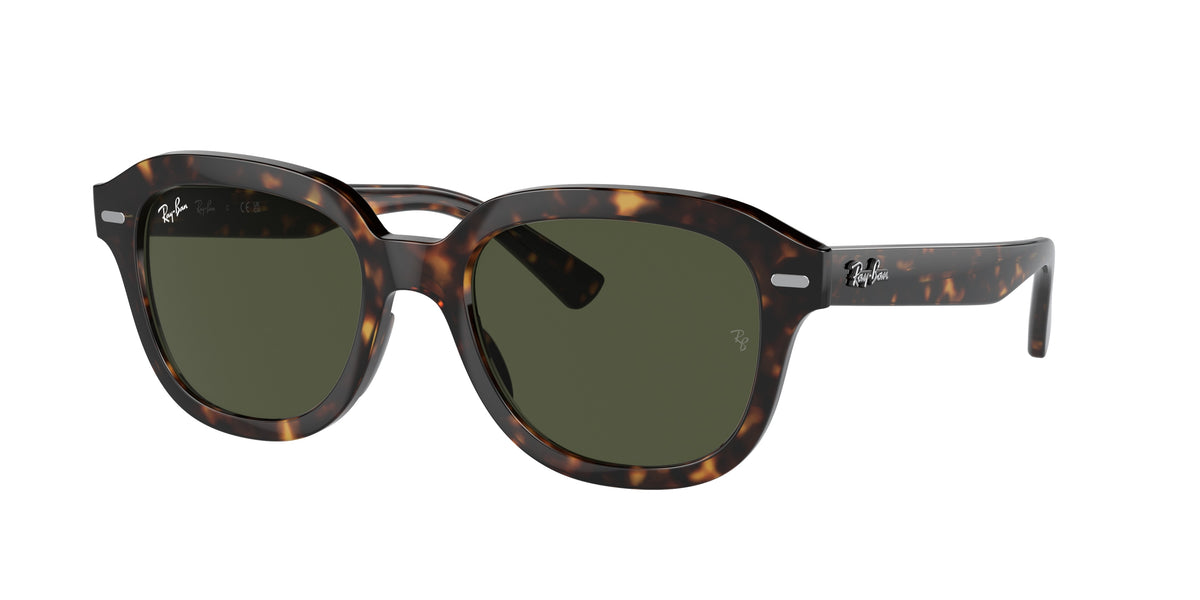 Ray-Ban 0RB4398 ERIK
