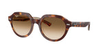 141451 - Light Havana On Multicolor / Clear Gradient Brown