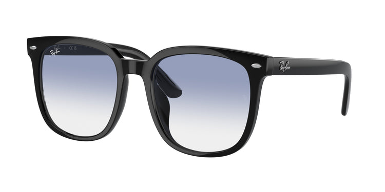 Ray-Ban 0RB4401D