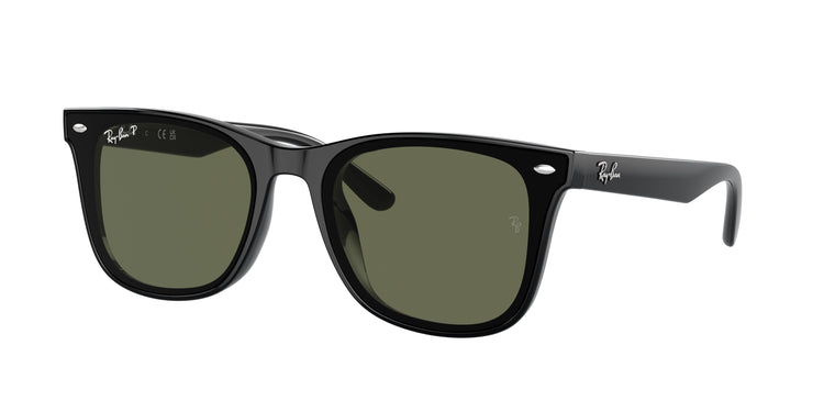 601/9A - Black / Dark Green Polarized