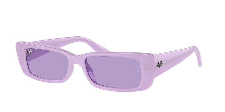 Ray-Ban 0RB4425 TERU