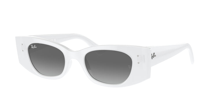 Ray-Ban 0RB4427 KAT