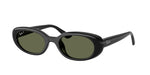 66779A - Black / Polarized Dark Green