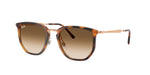680451 - Transparent Orange / Clear Gradient Brown