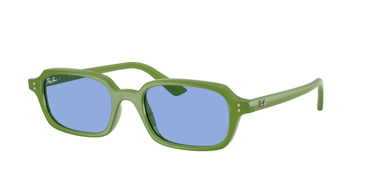 Ray-Ban 0RB4455F ZURI