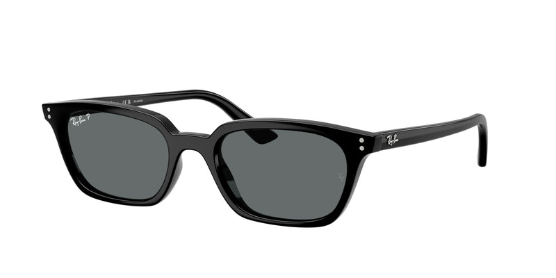 667781 - Black / Dark Grey Polarized