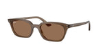 677973 - Transparent Brown / Dark Brown